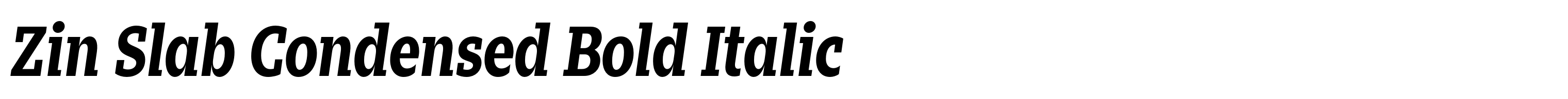 Zin Slab Condensed Bold Italic
